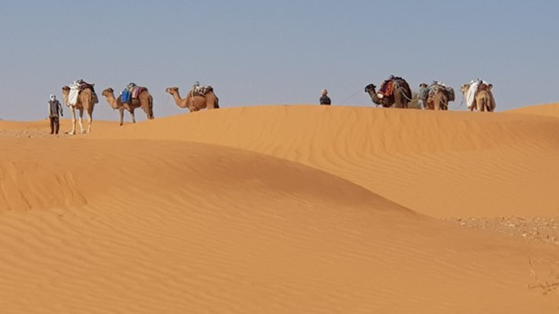 Beduini del deserto 1