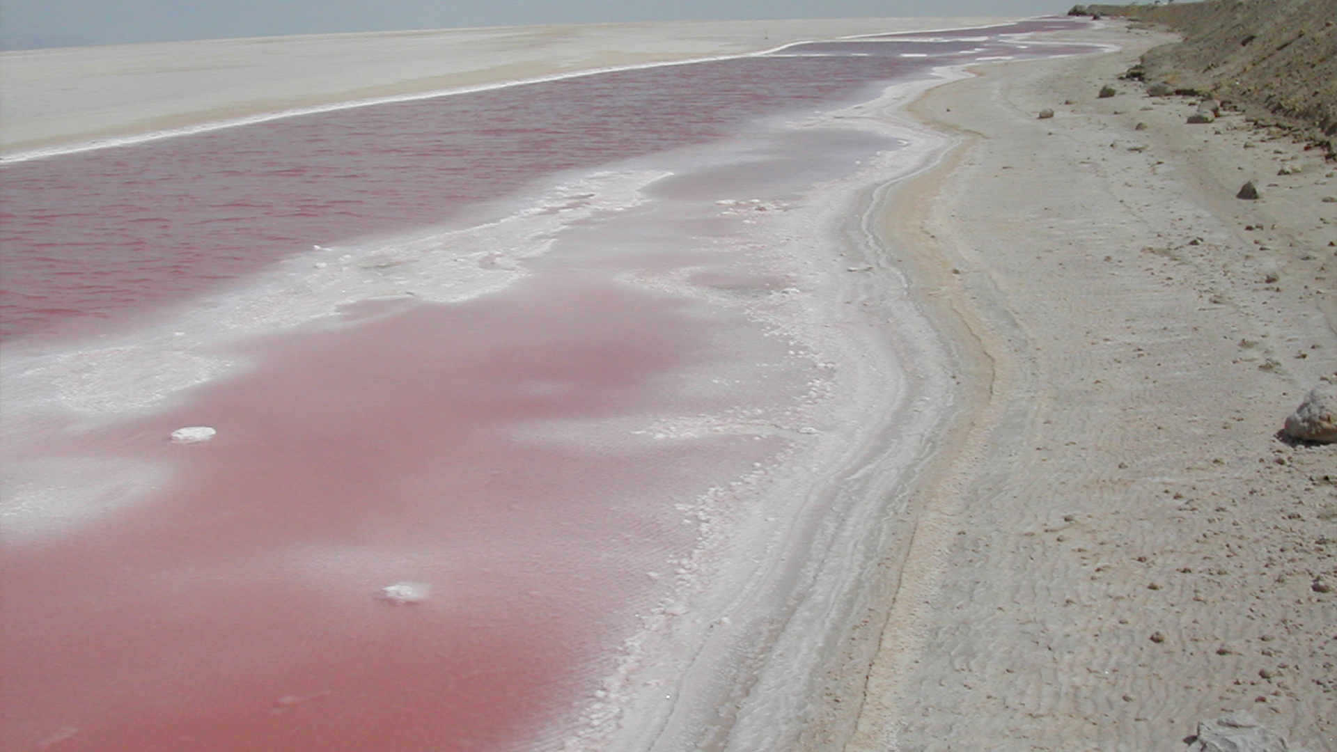 Lago salato