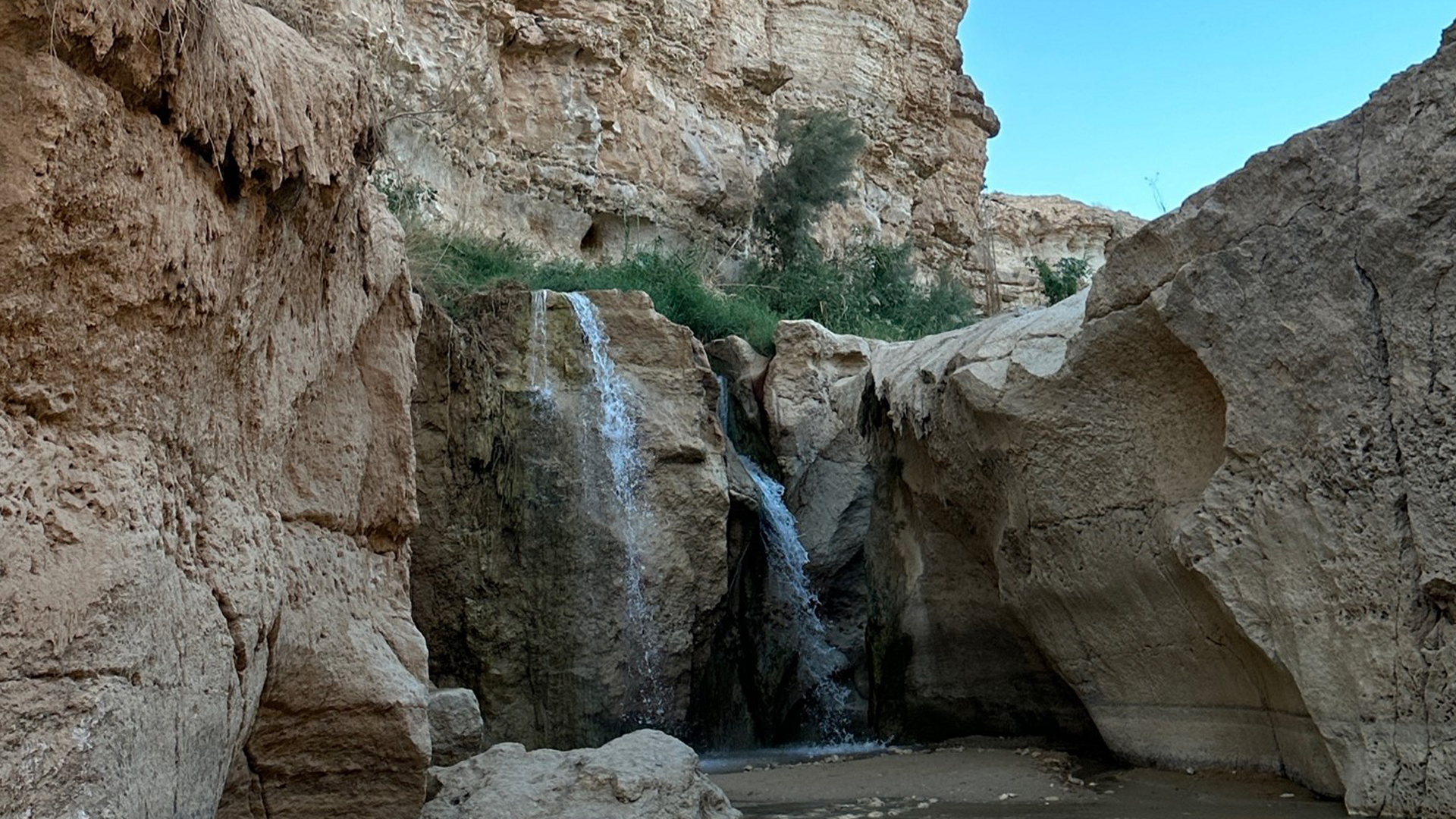 Cascata palmeto di Tamerza